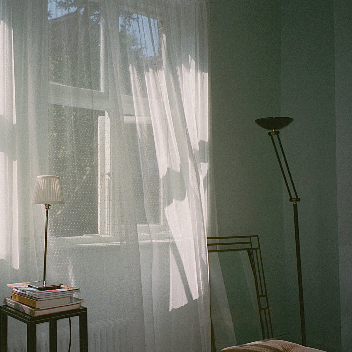 The full length sheer - polski lace