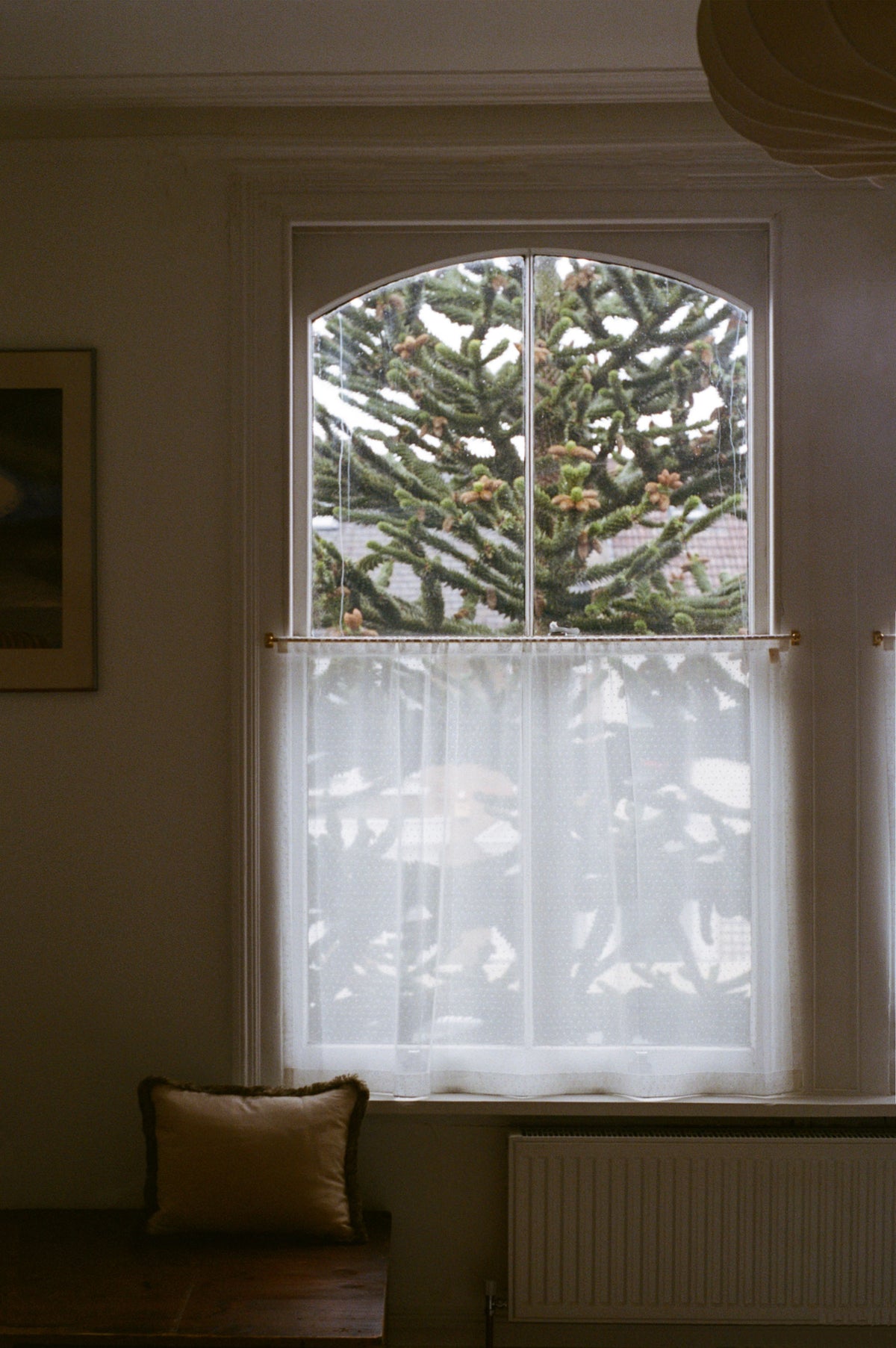The cafe curtain - lace with a pocket top - polski