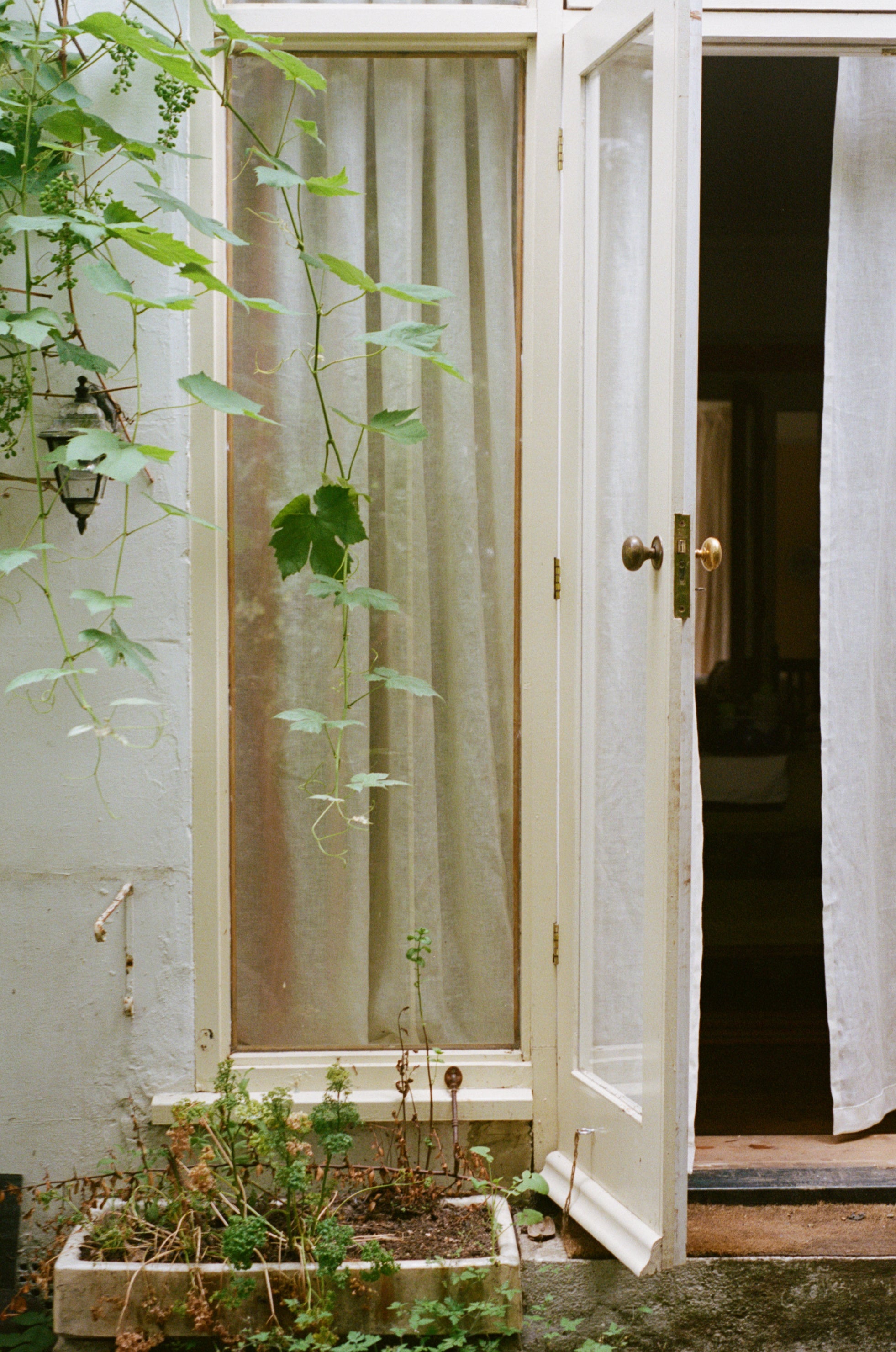 The full length sheer - open weave Netto linen