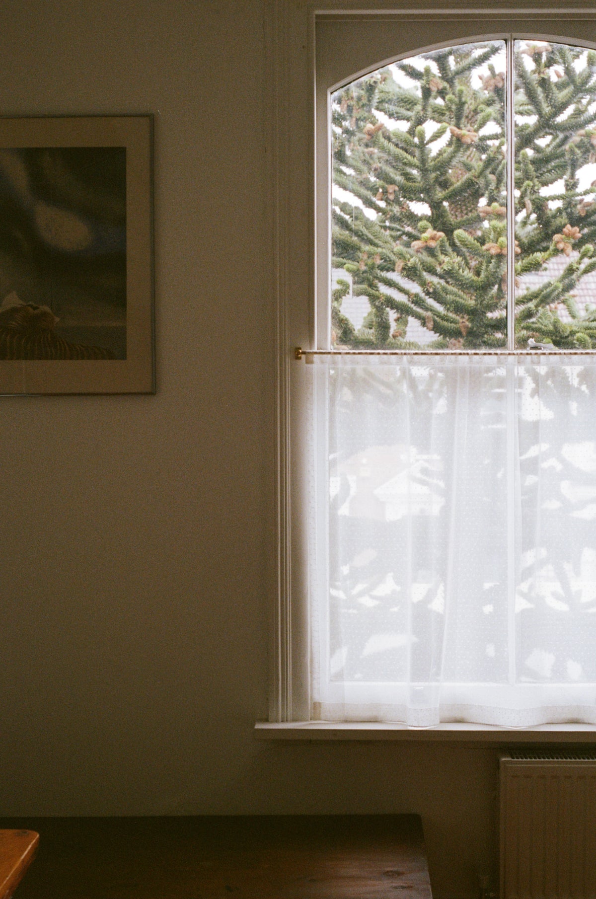 The cafe curtain - lace with a pocket top - polski