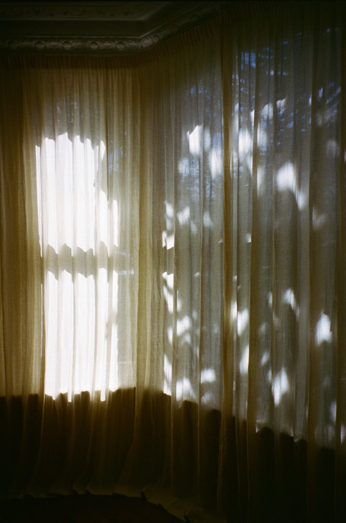 Full length sheer curtain - mediumweight - hanbury laundered vellum